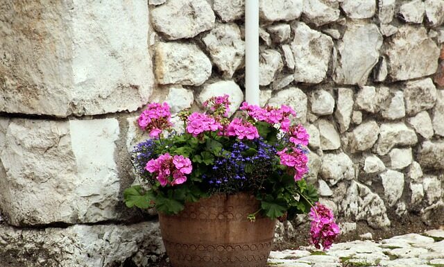 Co do dużych donic ogrodowych?