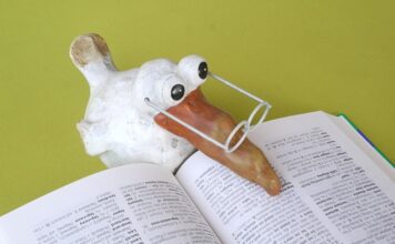 Jakie języki zna Iga Świątek? Jakie języki zna Iga Świątek?