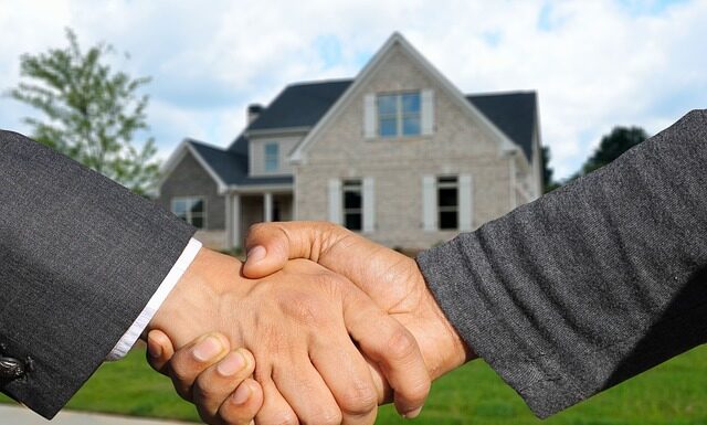 Gdzie kupić Dłuto?