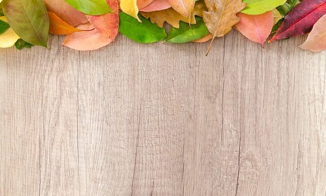 Ile od granicy działki ROD można postawić domek narzędziowy?