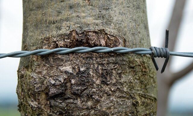 Jak naostrzyć dłuto do betonu?