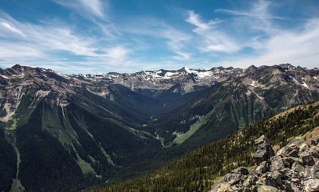 Jak się rzeźbi w drewnie?