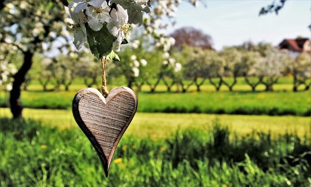 Jakie drzewka na balkon całoroczne?