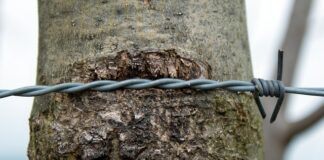 Jak naostrzyć dłuto V?