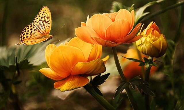 Jaki płyn do mycia motocykla?