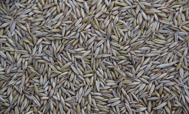 Kto produkuje Jeep Grand Cherokee?