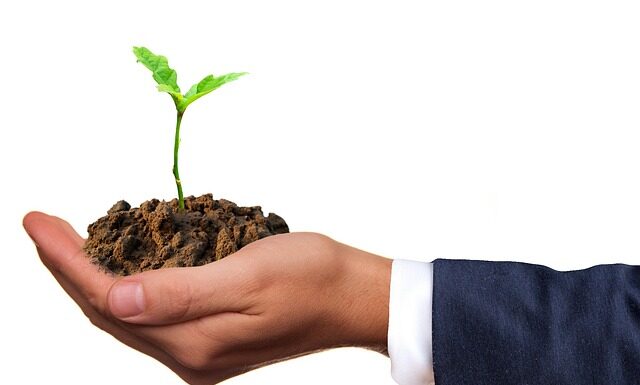 Czym wypełnić dno doniczki?