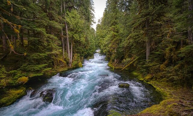 Jak podłączyć centralny zamek Audi a4 b5?