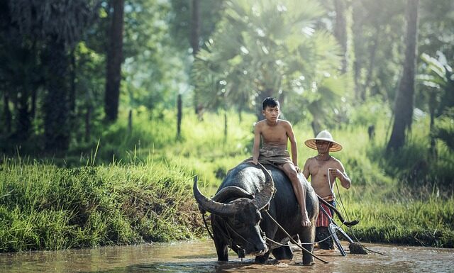 Czym Pielęgnować motocykl?