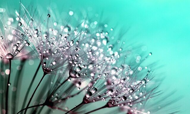 Co to znaczy Detailing?