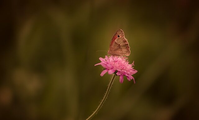 Jak usunąć rdzę z felgi rowerowej?