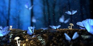 Czy woda utleniona działa na grzyby?