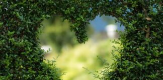 Jakie ozdoby do ogrodu?